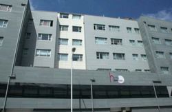 hotelofi-admite-mascotas