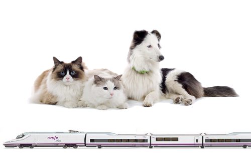 viajar-con-perro-en-tren