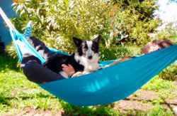 Casas rurales que admiten perros playa españa verano fin de semana mascota Casas rurales viajar vacaciones con tu mascota