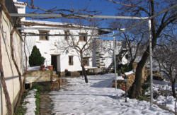 cortijo-la-curiosa-admite-mascotas