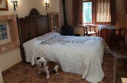 se admiten mascotas perros en Hotel Rural - Hotel Albamanj&oacute;n*** Ossa de Montiel Albacete 5