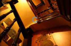 se admiten mascotas perros en Pensión Alver Cudillero Asturias 2