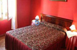 se admiten mascotas perros en Pensión Alver Cudillero Asturias 4