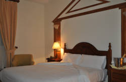 se admiten mascotas perros en Hotel Heredero Olivenza recomendados, Extremadura, Badajoz 5