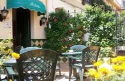 se admiten mascotas perros en Pensión Mitus** Canet de Mar recomendados, Barcelona, costa-del-maresme 2