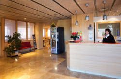 se admiten mascotas perros en Hotel Basic** Ol&egrave;rdola Barcelona 2