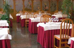 se admiten mascotas perros en Hotel Ciudad de Burgos*** Rubena Burgos 3