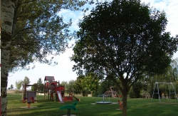 se admiten mascotas perros en Hotel Ciudad de Burgos*** Rubena Burgos 4