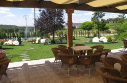 se admiten mascotas perros en Hotel Montermoso*** Aranda de Duero Burgos 4