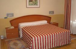 se admiten mascotas perros en Hotel Los Braseros*** Burgos Burgos 5