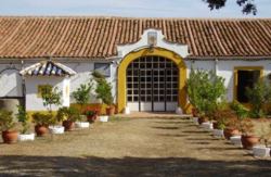 se admiten mascotas perros en Hotel Rural El Vaqueril Navas del Madroño Cáceres 2