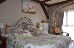 se admiten mascotas perros en La Casa del Puente Regules Cantabria 5