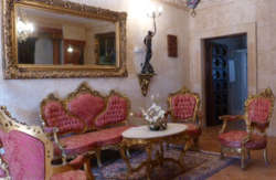 se admiten mascotas perros en Alojamiento Los Delfines Valdepeñas recomendados, Castilla-La-Mancha, Ciudad Real 3