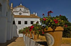 se admiten mascotas perros en Hotel&Restaurante Monasterio de San Francisco*** Palma del R&iacute;o C&oacute;rdoba 2