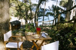 se admiten mascotas perros en Hostal Sa Rascassa** Begur Gerona, costa-brava 3