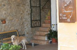 Hoteles en Cataluña que admiten perros  Hotel Rural - Niu de Sol *** hotel con perro Catalunya en Palau Saverdera con mascota recomendados, Gerona, costa-brava hotel admiten mascotas viajar a Catalunya Pirineo Semana Santa