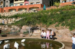 se admiten mascotas perros en Hotel Rural - Vilar Rural De Sant Hilari Sacalm**** Sant Hilari Sacalm Gerona 4