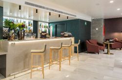 se admiten mascotas perros en Hotel Catalonia Granada **** Granada Andalucia, Granada 6