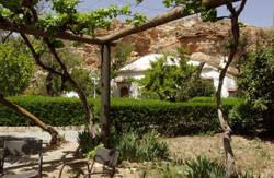 Guadix con perros alojamientos Complejo La Tala ir a la playa casasrurales escapada con perro a Guadix viajes a Granada vacaciones con mascotas 2020 españa