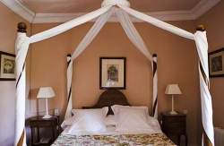 se admiten mascotas perros en Hotel Rural - Hotel & SPA Salinas de Imón*** Imón Guadalajara 3