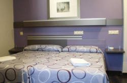 se admiten mascotas perros en Hostal Rica Posada Guadalajara Castilla-La-Mancha, Guadalajara 5