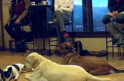 se admiten mascotas perros en Hotel de Montaña  La Casa del Rio*** Villanova Nieve, Huesca, Pirineos 3
