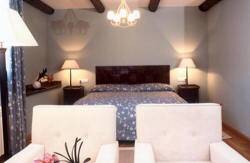 se admiten mascotas perros en Hotel Conde Aznar Jaca Nieve, Huesca, Pirineos 3