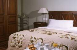 se admiten mascotas perros en Hotel Conde Aznar Jaca Nieve, Huesca, Pirineos 4