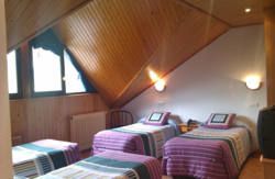 se admiten mascotas perros en Hotel Tirol Formigal** Sallent de Gállego recomendados, Nieve, Aragon, Huesca, Pirineos 3