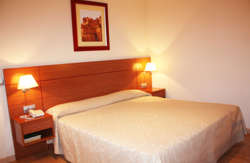 se admiten mascotas perros en Hotel Palacios** Alfaro La Rioja 3