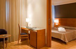 se admiten mascotas perros en Hotel Zenit Logroño*** Logroño La Rioja 5