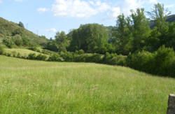 se admiten mascotas perros en Hotel Ancares*** Balboa Le&oacute;n 3