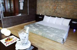 se admiten mascotas perros en Hotel Balneari de Rocallaura**** Rocallaura L&eacute;rida 4
