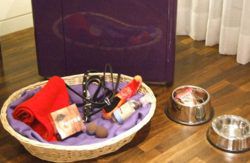 se admiten mascotas perros en ME Madrid Hotel - ME By Melia Madrid Madrid 2