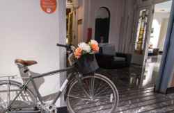 se admiten mascotas perros en Petit Palace Art Gallery****Plus Madrid Madrid 2