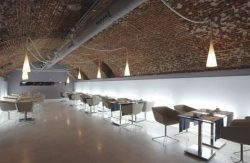 se admiten mascotas perros en Petit Palace Art Gallery****Plus Madrid Madrid 3