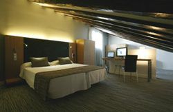 se admiten mascotas perros en Petit Palace Plaza del Carmen**** Madrid Madrid 4