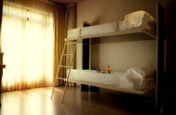 se admiten mascotas perros en Petit Palace Ducal - Chueca*** Madrid Madrid 4