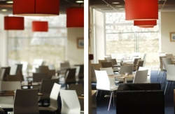 se admiten mascotas perros en Travelodge Las Rozas*** Las Rozas Madrid 3