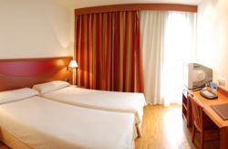 se admiten mascotas perros en Hotel Alcalá Plaza*** Alcalá de Henares Madrid 5
