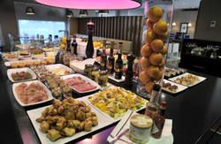 se admiten mascotas perros en Hotel Campanile M&aacute;laga Airport*** M&aacute;laga Andalucia, M&aacute;laga, costa-del-sol 3