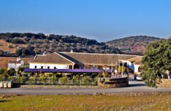 alojamientos Hotel Rural Carlos Astorga*** ir a la playa hoteles escapada con perro a Archidona viajes a Andalucia, Málaga vacaciones con mascotas 2020 españa