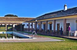 se admiten mascotas perros en Hotel Rural Carlos Astorga*** Archidona Andalucia, M&aacute;laga 2