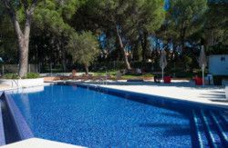 se admiten mascotas perros en Catalonia Reina Victoria**** Ronda Andalucia, Málaga, semana-santa 2