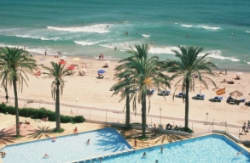 se admiten mascotas perros en Hotel Apart Londres*** La Manga del Mar Menor Murcia, costa-calida 3