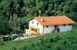 alojamientos Hotel Rural - Peruskenea** ir a la playa hoteles escapada con perro a Beruete viajes a Navarra vacaciones con mascotas 2020 espa&ntilde;a