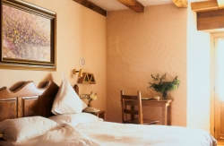 se admiten mascotas perros en Hotel Rural - Peruskenea** Beruete Navarra 4