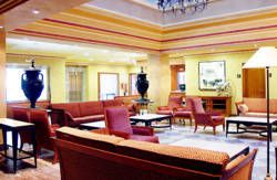 se admiten mascotas perros en Hotel Villava*** Villava Navarra 2
