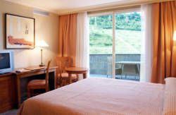 se admiten mascotas perros en Hotel Villava*** Villava Navarra 4