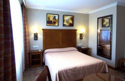 se admiten mascotas perros en Hotel Villava*** Villava Navarra 5
